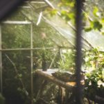 Get Growing With A Hobby Greenhouse…